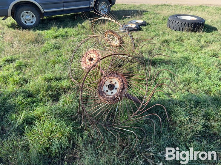 side-delivery-rake-wheels-image-7