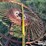side-delivery-rake-wheels-image-11