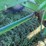 united-farm-tools-4565-grain-cart-image-19