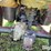 2003-honda-trx350-image-17