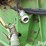 john-deere-930-image-15