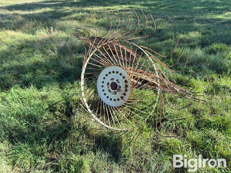 side-delivery-rake-wheels-image-3