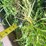 shop-built-54”-3-pt-mounted-bale-fork-image-12
