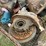 truck-rear-ends-image-16