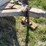 5’x8’-s/a-livestock-trailer-image-14