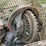 truck-rear-ends-image-9
