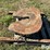 jost-5th-wheel-plate-image-9