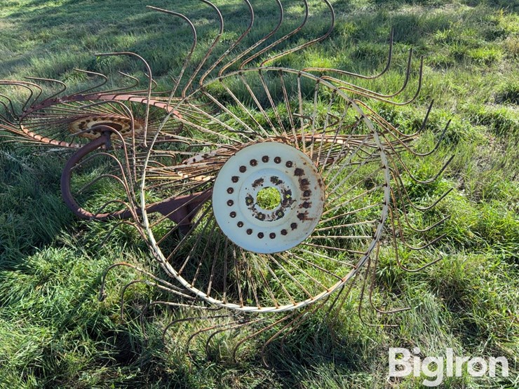 side-delivery-rake-wheels-image-14