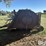 rhino-sr15-image-8