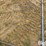 agco-2856-image-16