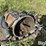 peterbilt-379-image-3