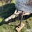 5’x8’-s/a-livestock-trailer-image-12