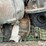 truck-rear-ends-image-14