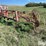 tonutti-10-wheel-3-pt-v-rake-image-1