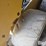 caterpillar-236d-image-19