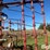wil-rich-4640-field-cultivator-image-10