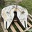 5th-wheel-plate-image-2