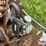 case-ih-1200-image-15