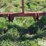 tonutti-10-wheel-3-pt-v-rake-image-19