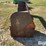 farmhand-f11-image-8