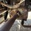 hyundai-hl760-image-41