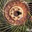 side-delivery-rake-wheels-image-13