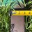 shop-built-54”-3-pt-mounted-bale-fork-image-11