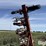 international-133-image-13
