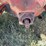 ford-8n-image-18
