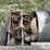 caterpillar-engine-retarder-image-6