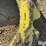 john-deere-2-image-15