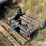 case-ih-3-image-7