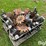 case-ih-1200-image-6
