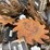 case-ih-1200-image-11
