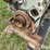 detroit-series-60-engine-image-12
