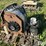 peterbilt-379-image-5