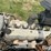 isuzu-power-unit-image-16