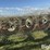 hesston-3991-image-16
