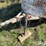 5’x8’-s/a-livestock-trailer-image-16