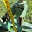 shop-built-54”-3-pt-mounted-bale-fork-image-20