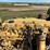 1999-caterpillar-3056t-image-16