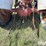 ford-8n-image-10