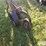 john-deere-a-image-12