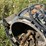 peterbilt-379-image-13
