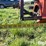 84”-3-pt-mounted-snow-blower-image-12