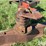 shop-built-10’-3-pt-mount-angle-blade-image-17