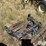 case-ih-3-image-5