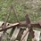 saw-blade-image-17