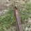 7’-dozer-blade-image-17