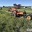 wil-rich-2900-image-7